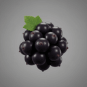  Schwarze Johannisbeere
