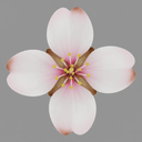 almond
