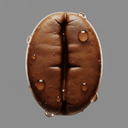 Bean