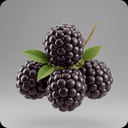 Brombeere