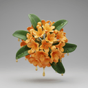 chinesische Duftblüte