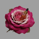 Damaszener-Rose Absolue