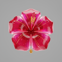 Hibiskus