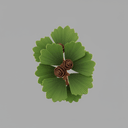 Hinoki