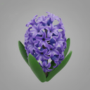 Hyazinthe