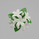 Jasmin