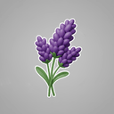 Lavendel