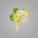 Lindenblüte
