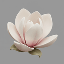 Magnolie