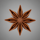 Sternanis