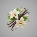 Vanilla