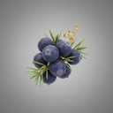 Wacholderbeeren