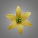 Ylang-Ylang